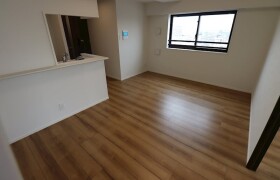 墨田区墨田-1LDK公寓大厦