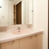 2DK Apartment to Rent in Ichikawa-shi Washroom