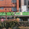 1K Apartment to Rent in Toshima-ku Supermarket