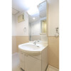 1LDK Apartment to Rent in Koto-ku Washroom