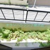 1K Apartment to Rent in Yokohama-shi Hodogaya-ku Balcony / Veranda