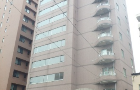 札幌市北區北十一条西（１〜４丁目）-1R公寓大廈