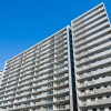 3LDKマンション - 横浜市緑区賃貸 内装