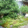 10SLDK House to Buy in Kyoto-shi Kita-ku Garden