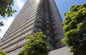 3LDK {building type} in Furuishiba - Koto-ku