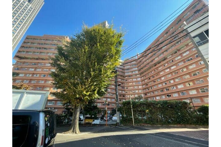 1R Apartment to Buy in Shibuya-ku Interior