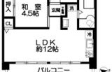 1LDK Mansion in Umezato - Suginami-ku