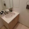 2LDK Apartment to Rent in Shinagawa-ku Washroom