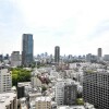 2SDK Apartment to Buy in Minato-ku View / Scenery