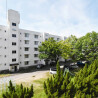 2DK Apartment to Rent in Nomi-shi Interior