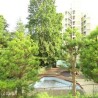 2LDK Apartment to Buy in Yokohama-shi Asahi-ku View / Scenery