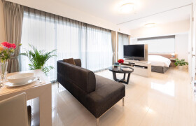 Ikebukuro Duplex Tower Executive Suite E 1Bed Room - Serviced Apartment, Toshima-ku