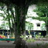 3LDK House to Rent in Suginami-ku Park