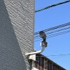 1K Apartment to Rent in Fukuyama-shi Security