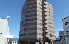 札幌市厚別区厚別中央二条の1DKマンション