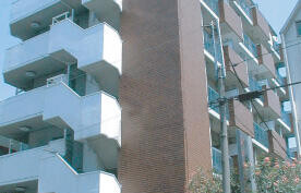 墨田区菊川-1R公寓大厦