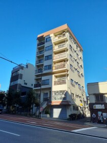 1DK {building type} in Otsuka - Bunkyo-ku