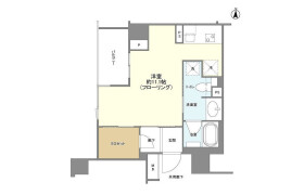 1R Mansion in Tsukudohachimancho - Shinjuku-ku