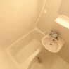 1K Apartment to Rent in Kamiina-gun Minamiminowa-mura Bathroom