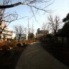 1R Apartment to Rent in Edogawa-ku Surrounding Area