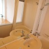 1SK Apartment to Rent in Minato-ku Washroom